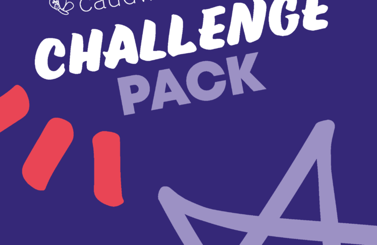 Challenge Pack